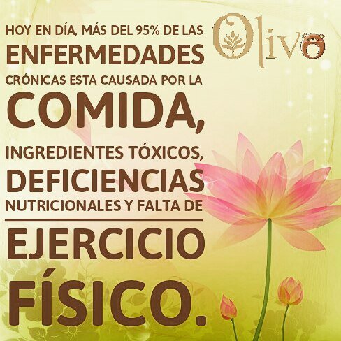 olivobarquisim1's tweet photo. #frasevegana #vegetariano #pensamientovegano #pensamientopositivo #salud #comersano #barqu… https://t.co/0GAloozOED https://t.co/bw6MaZF9VY
