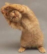 BeInTheKnow's tweet image. Relaxation, Physical Exercise and Walking explorelifejournal.com/-h1sbo8y1v2v6n…