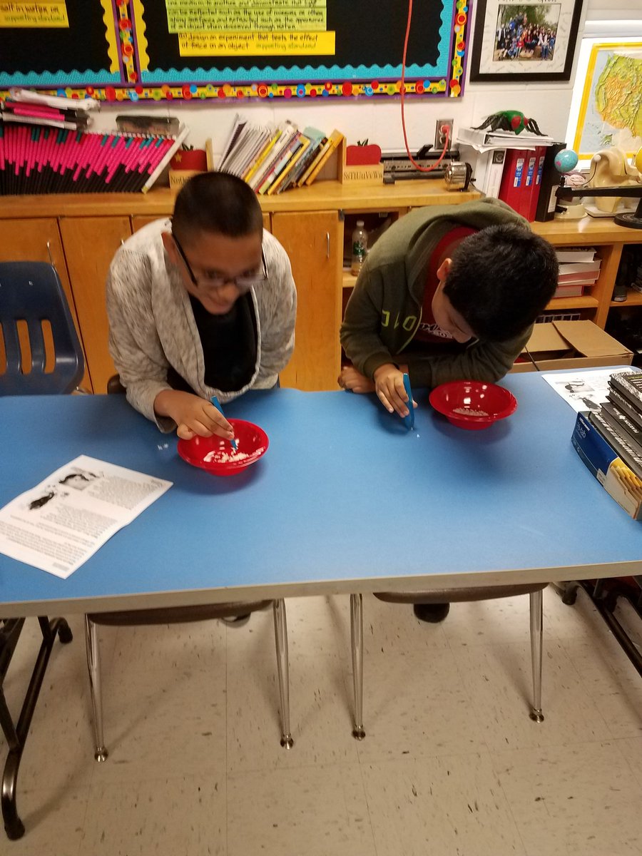 warriors112's tweet image. Look at all our little birds! Students are learning about adaptations...#studentengagement #lifescience #modellesson