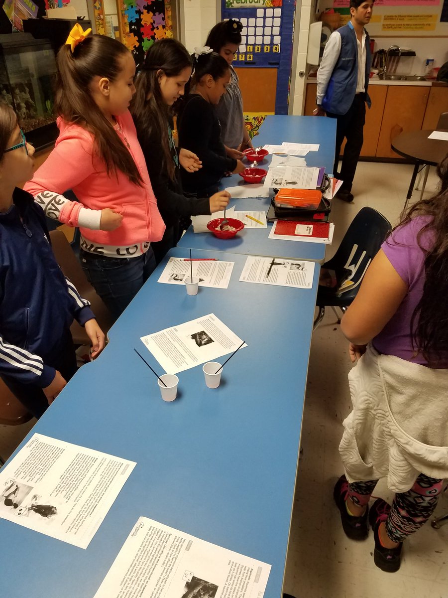 warriors112's tweet image. Look at all our little birds! Students are learning about adaptations...#studentengagement #lifescience #modellesson