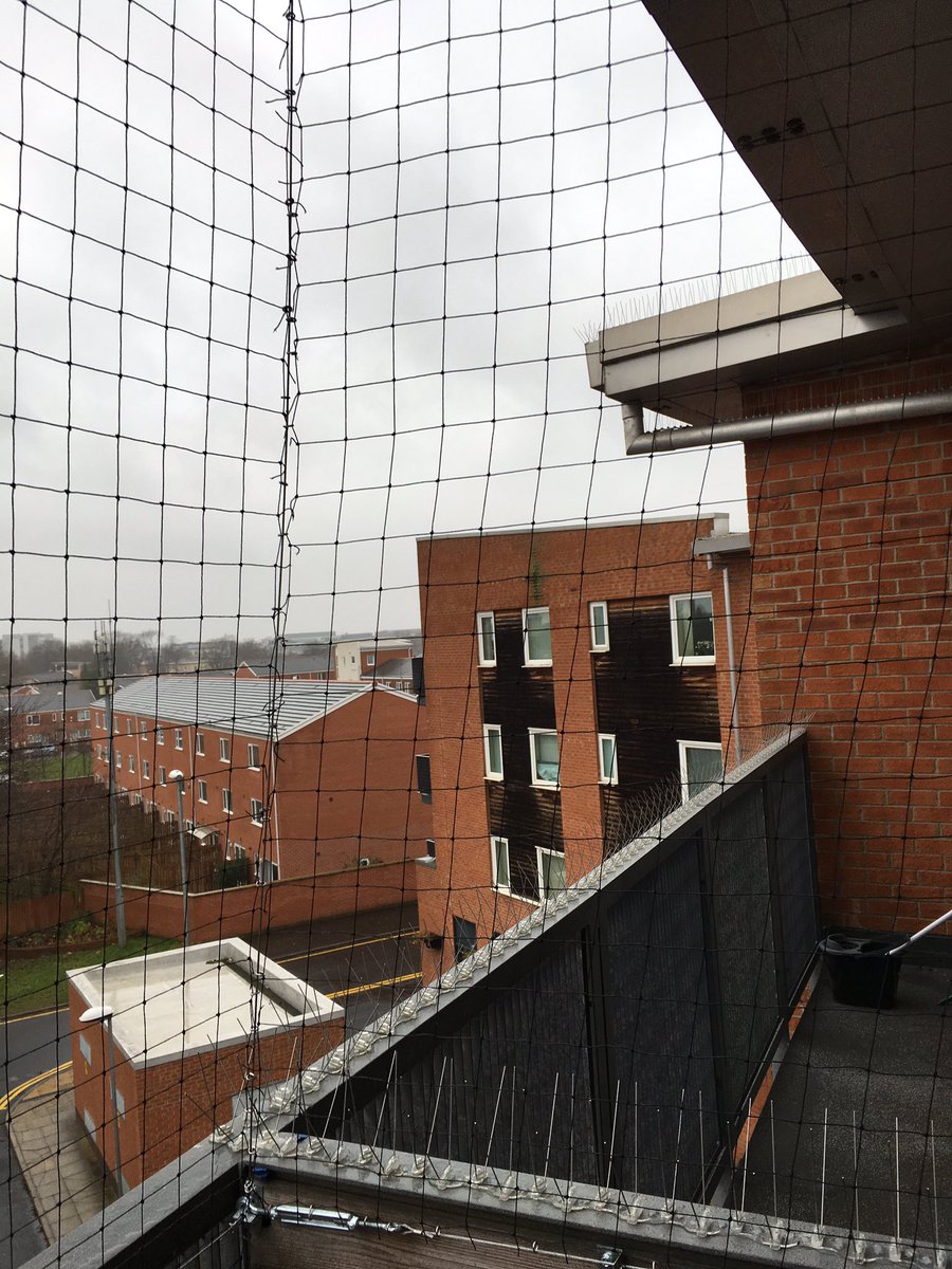 Pro_Pest_'s tweet photo. Another happy Pigeon free customer #pigeoncontrolmanchester #balconynetting https://t.co/I7jk7OKY1w