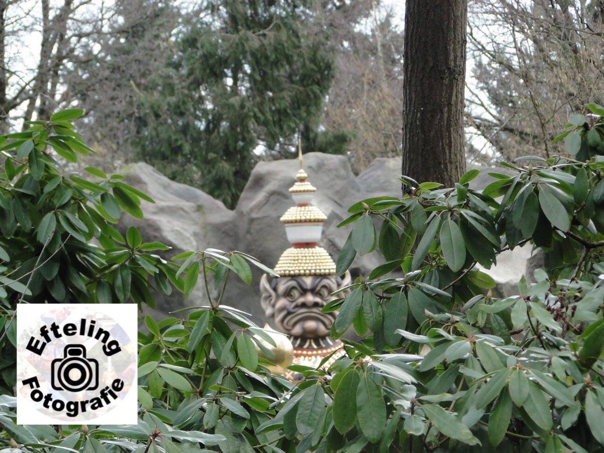 ThemePPictures's tweet photo. De wachters bijnde indische waterlelies houden je goed in de gaten. @Efteling #viewonwonder https://t.co/sQvxE4AoHV