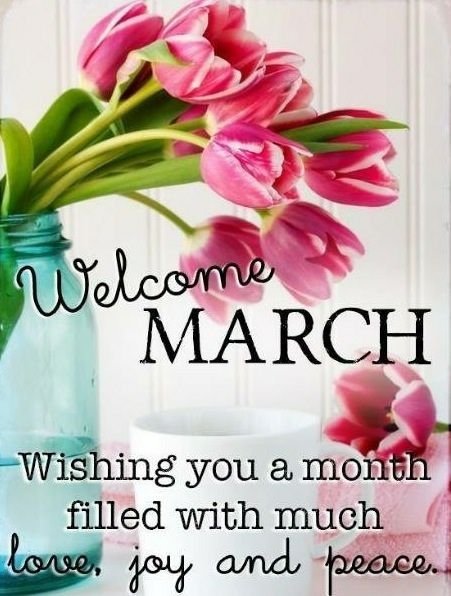 ESTIRInc's tweet photo. #WelcomeMarch!

Soon Spring will be here.

#ESTIRInc.
#YourProtection. #OurPriority.
https://t.co/Wt9CNsC2w8 https://t.co/QEAfx8Ax1I
