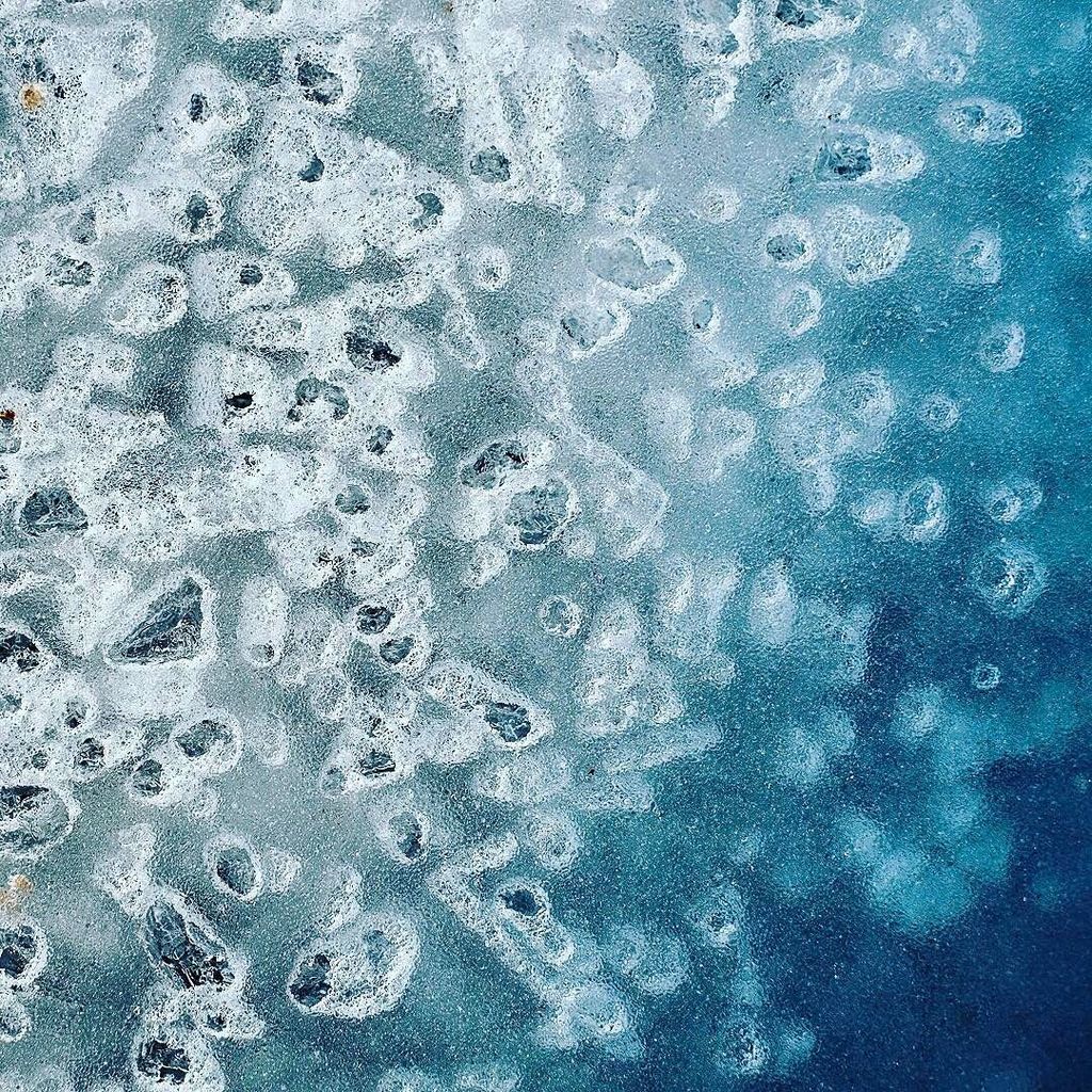 DANCOPEPHOTO's tweet photo. I'm thinking this would be a really neat background wallpaper.⠀
.⠀
.⠀
.⠀
#macro #photography #prophoto  #optoutside… https://t.co/7jMH1rqbZR