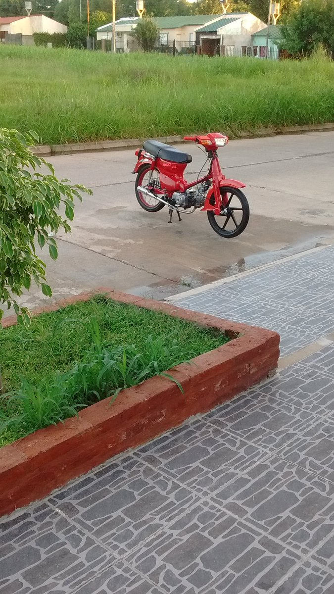 tomasfrancooo's tweet photo. El camino será largo, pero valdrá la pena recorrerlo junto a ti... #econito ✊💖 https://t.co/mTwZ2csSqU