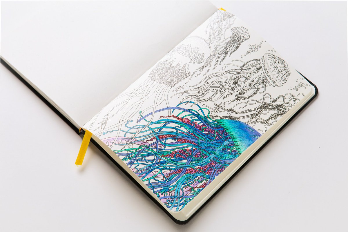 coloring_ntbk's tweet photo. Jiggly Jolly Jellyfish 🌊#stationary #coloring #BookWorm https://t.co/h3B7NAOEYr