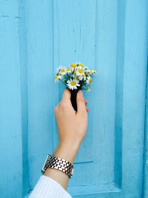 jbyummy's tweet photo. 🌻 qual você escolhe? 🌻 https://t.co/PBuwpTaoFR