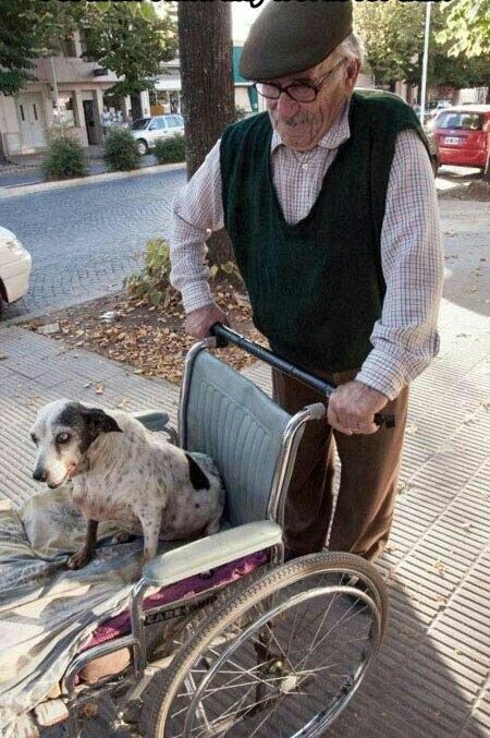 Real Men Are Compassionate And Kind To Animals 🐾🐶❤