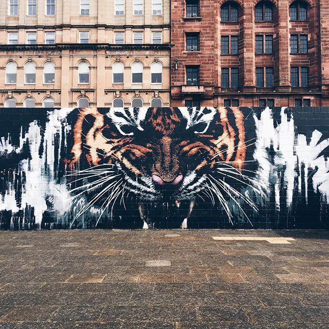 BrandFoxHQ's tweet photo. Rawr! You can sell your photos on BrandFox for free! https://t.co/CpQGCVM2RR #marketing #digitalcontent #stockphotography #branding #startup https://t.co/Y2kDMKwBPE