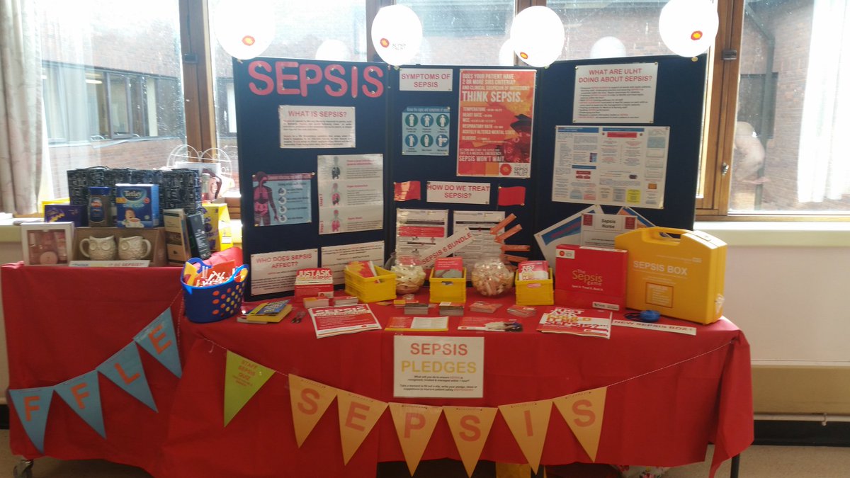 Kat Mayer tweet media