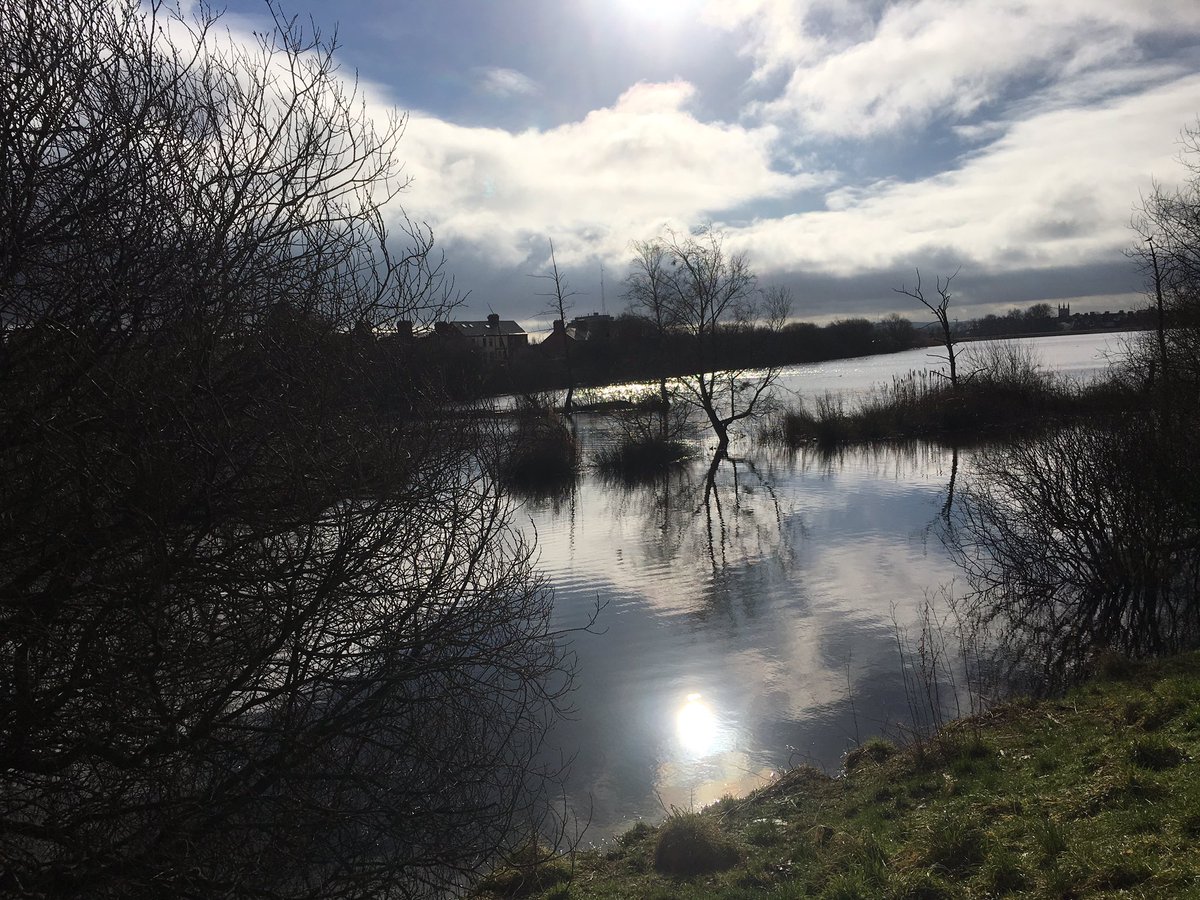 NBelfasthour's tweet photo. @newslineweather @WeatherCee @barrabest The Waterworks this morning #NBelfastHour #NorthBelfast #belfast #irishscenes #swans https://t.co/1AuEiR37id