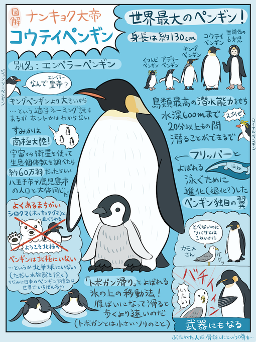 かわいい皇帝ペンギンの 子育ての過酷さがわかるスゴロク が話題に 無理だあぁ Buzzmag