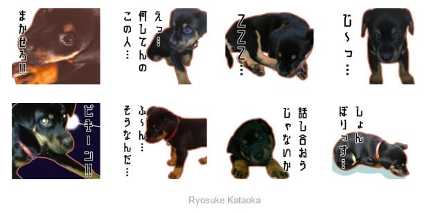 僕ん家で飼ってる犬のスタンプを作製。
完全に個人的な用途で作ったやつだけど、可愛さを見せびらかすために貼っておきます。

うらる→https://t.co/qXbp6C8ahB 