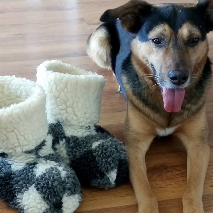 cryosaunastudio's tweet photo. #Cryosaunastudio He is back!! He needs a recovery too!
🐺🐺🐺🐺🐺🐺🐺🐺🐺🐺🐺🐺 https://t.co/SRfphQNG0p