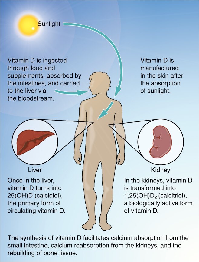 doctourage's tweet image. Want a supplement shown to fight cancer,autoimmune &amp;amp; heart disease. Study finds 41.6% of adults in US are Vitamin D deficient.#knowyourlevel