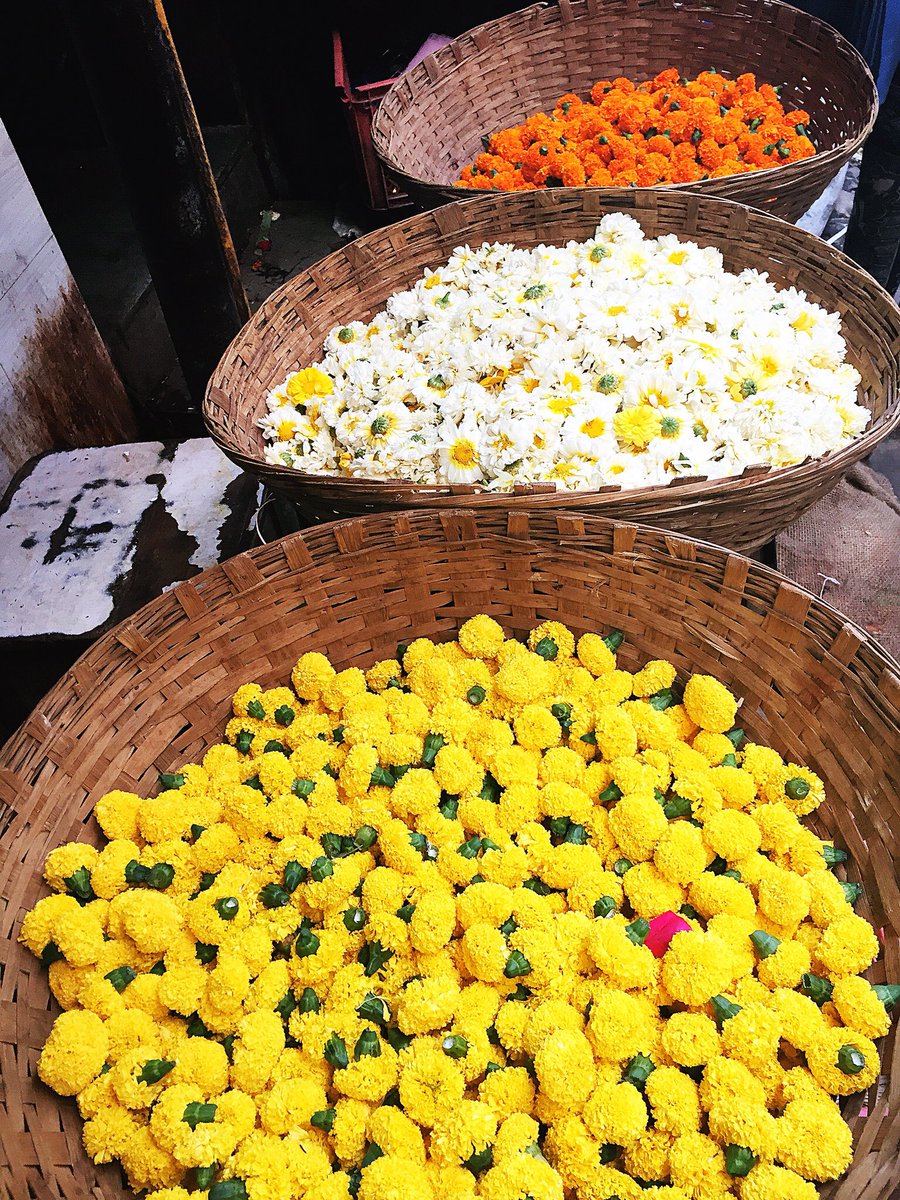 linaadillner's tweet photo. Colors of India https://t.co/HPEpWlh3Tr