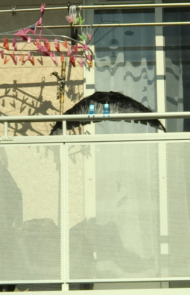 天くん໒ お迎え完了 カメラロールの奥深くにいた小烏丸のポニテ制作過程が相当気持ち悪いw 天くん໒ お迎え完了 カメラロールの奥深くにいた小烏丸のポニテ制作過程が相当気持ち悪いw