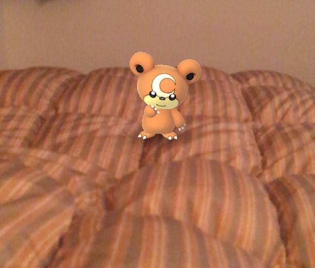 ポケモンgo ヒメグマのあの顔がたまらん アニメを1回見てみてください ポケモンgo攻略まとめ速報 ポケモンgo ヒメグマのあの顔がたまらん アニメを1回見てみてください ポケモンgo攻略まとめ速報