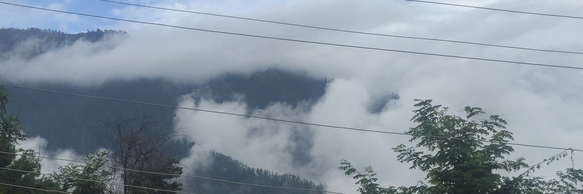 developeru1's tweet image. #NewProfilePic