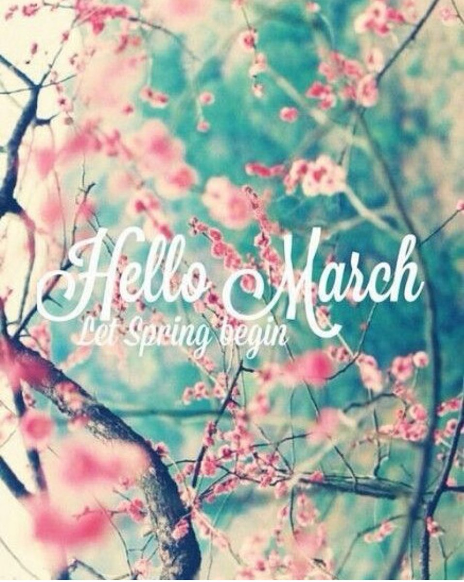 _beautyNbrainz_'s tweet photo. New Month. New Beginning. New Mindset. New Focus. New Start. New Intentions. New Results. #Chapter3of12 #RiseandGrind https://t.co/qsdgu7qaxK