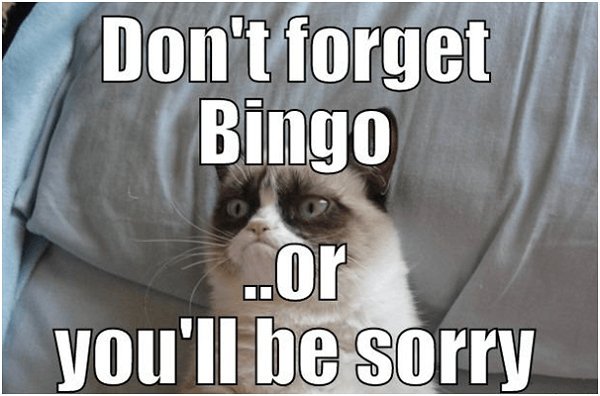 StephLEmanuel's tweet image. It's Bingo night!  Starts at 7pm.  Sliders and french fries are on the menu. #bingo