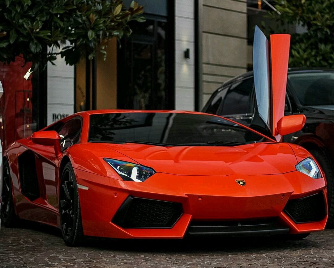 themakinatv's tweet photo. #themakina #lamborghini #aventador #lo700 
via: Berk Meriçli https://t.co/gJ7trSBDzS