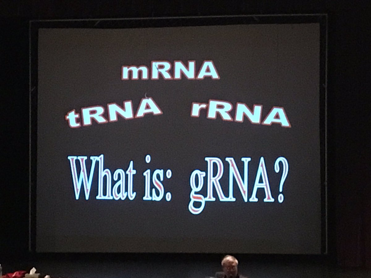 Loveland_HS's tweet photo. Sam Rhine asks, "Who's going to be making all these genetic and ethical decisions in the future? You." #TigerFuture https://t.co/Kpq5YjI6q9