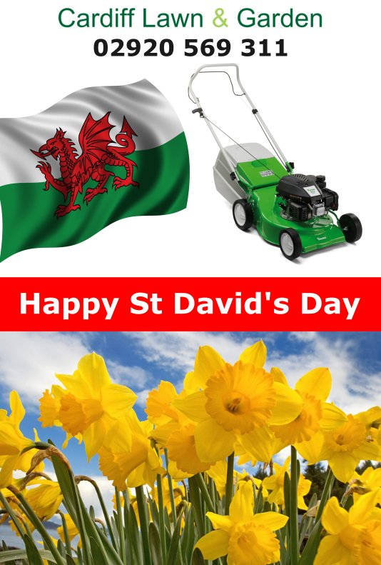 Call on 02920 569311 to discuss our special #deals on lawn mowers, like the popular #VIKING MB248 #VIKINGgarden #GardenExperts #LawnCare 🌻