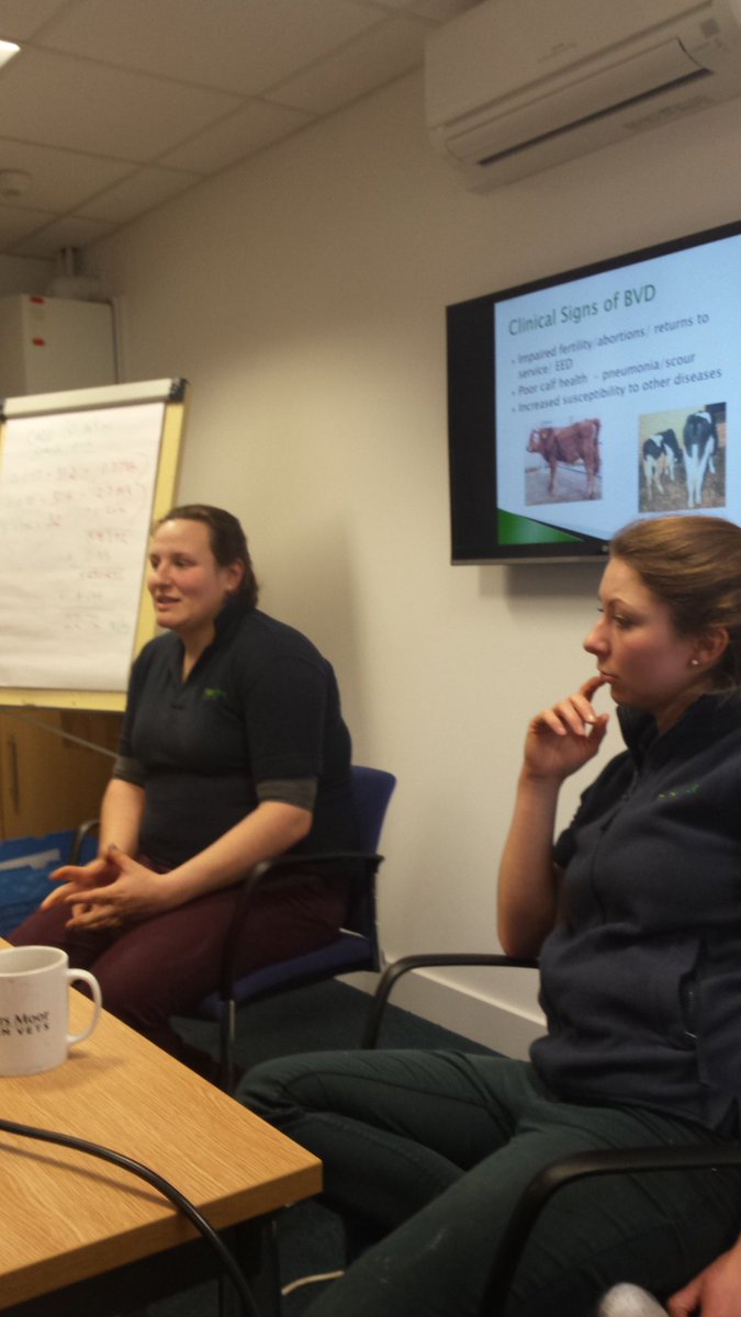 MJSaunders37's tweet photo. Excellent meeting run by Eleanor and Jenny from @FriarsMoorVets dicussing BVD control with a group of farmers during lunchtime #BVDFree https://t.co/aD8wU06jXy
