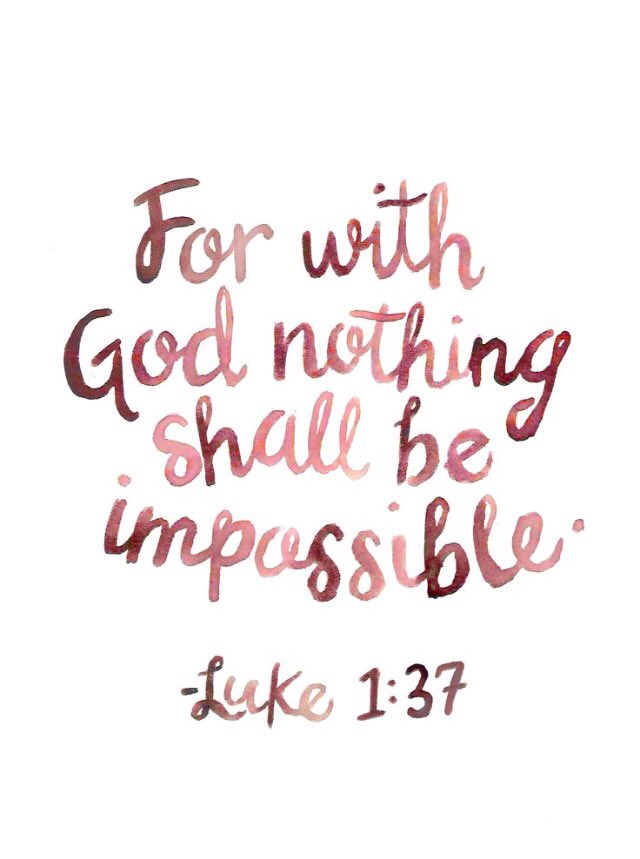 PinkyPromiseObg's tweet photo. Happy Wednesday! ✨ https://t.co/0eVB0NSSWR