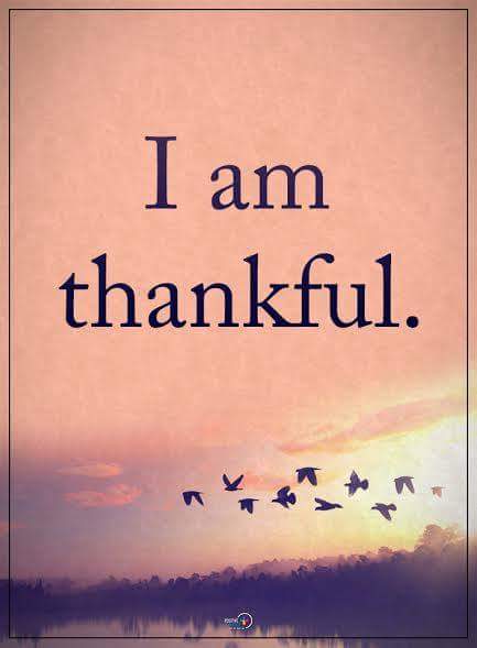 jayjaypee2012's tweet image. 