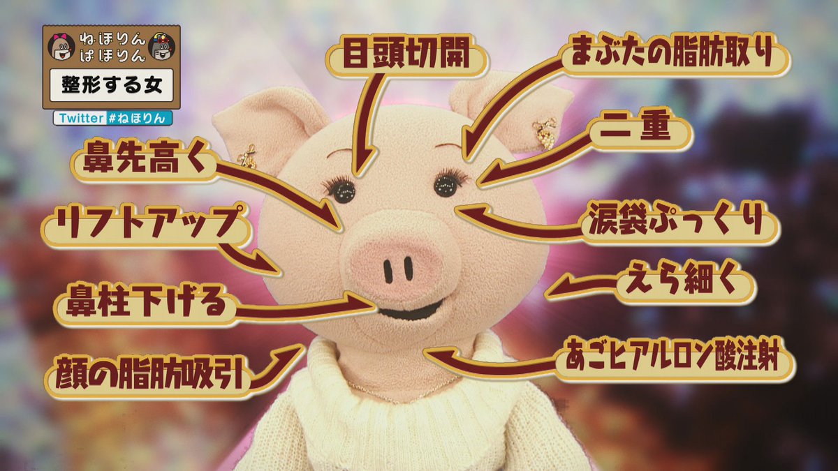 ねほりんぱほりん 整形する女 顔 のゴールが見えない 整形はアプリの課金と一緒 とは Togetter