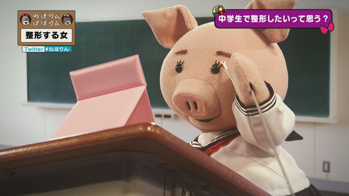 ねほりんぱほりん 整形する女 顔 のゴールが見えない 整形はアプリの課金と一緒 とは Togetter