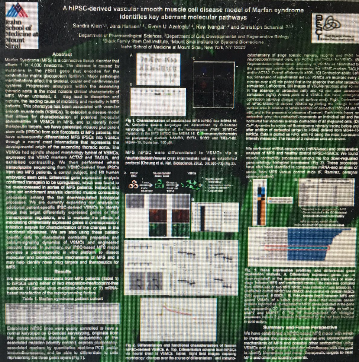 Poster from the Schaniel Lab presented at the ISSCR International Symposium Basel 2017
