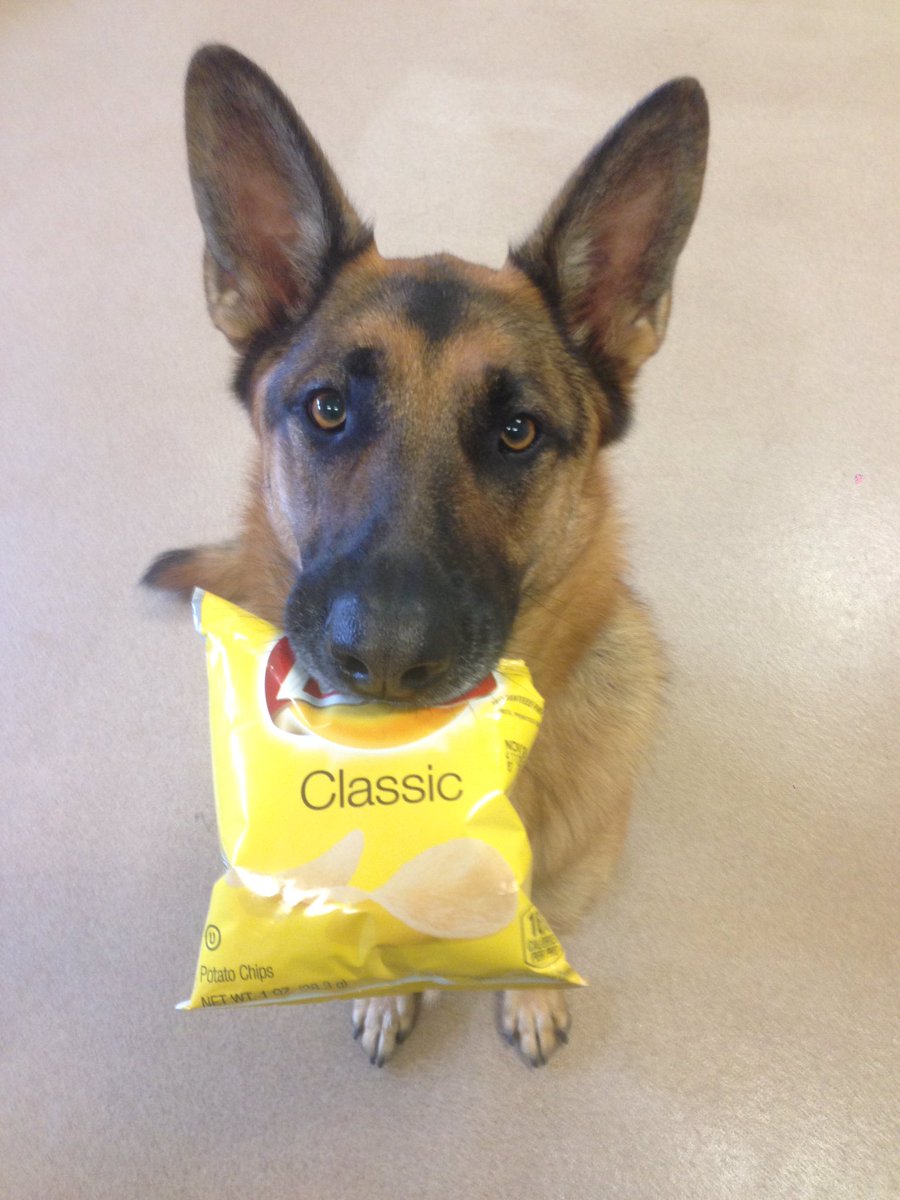 Is it time for lunch yet?!!!