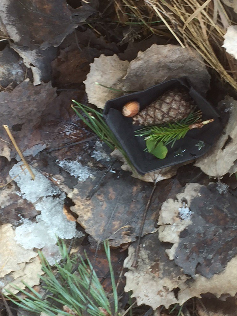 fritidsTGL's tweet photo. Barnen bygger ett bo till ekorren i skogen. https://t.co/7qyzT5JeSl