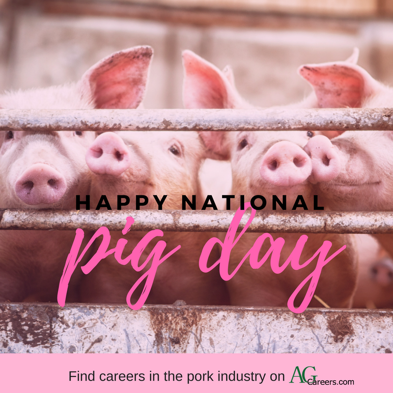 AgCareers tweet media