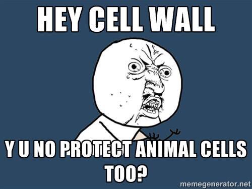 science8675309's tweet photo. https://t.co/p1FHb3fW6B