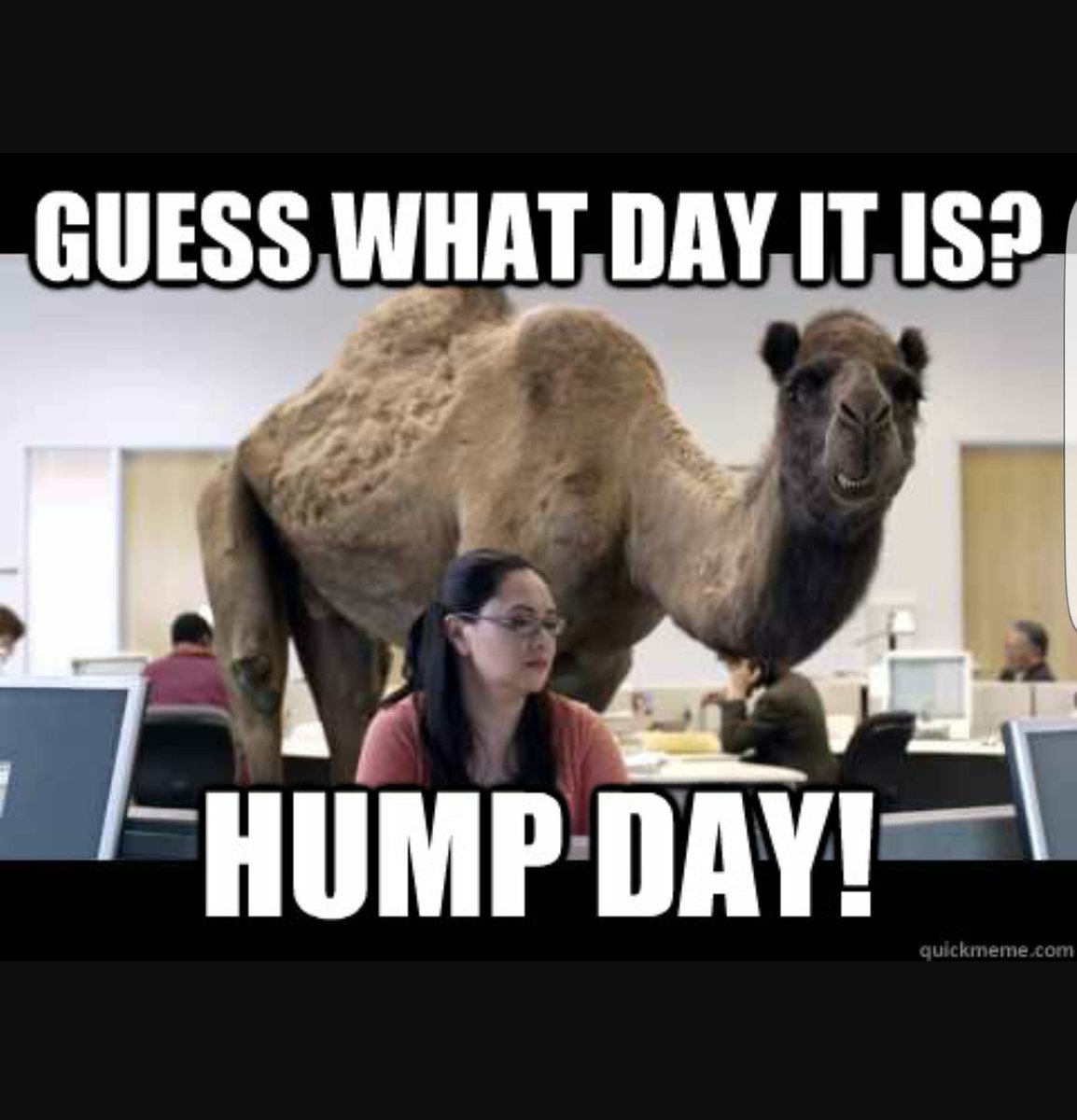 Wendells_Roof's tweet photo. Happy Hump Day from Wendells Roofing. Stick in there, weekend is almost here.

check out our coupons at https://t.co/8MF9keW8s5 https://t.co/aoMPIpIs3v
