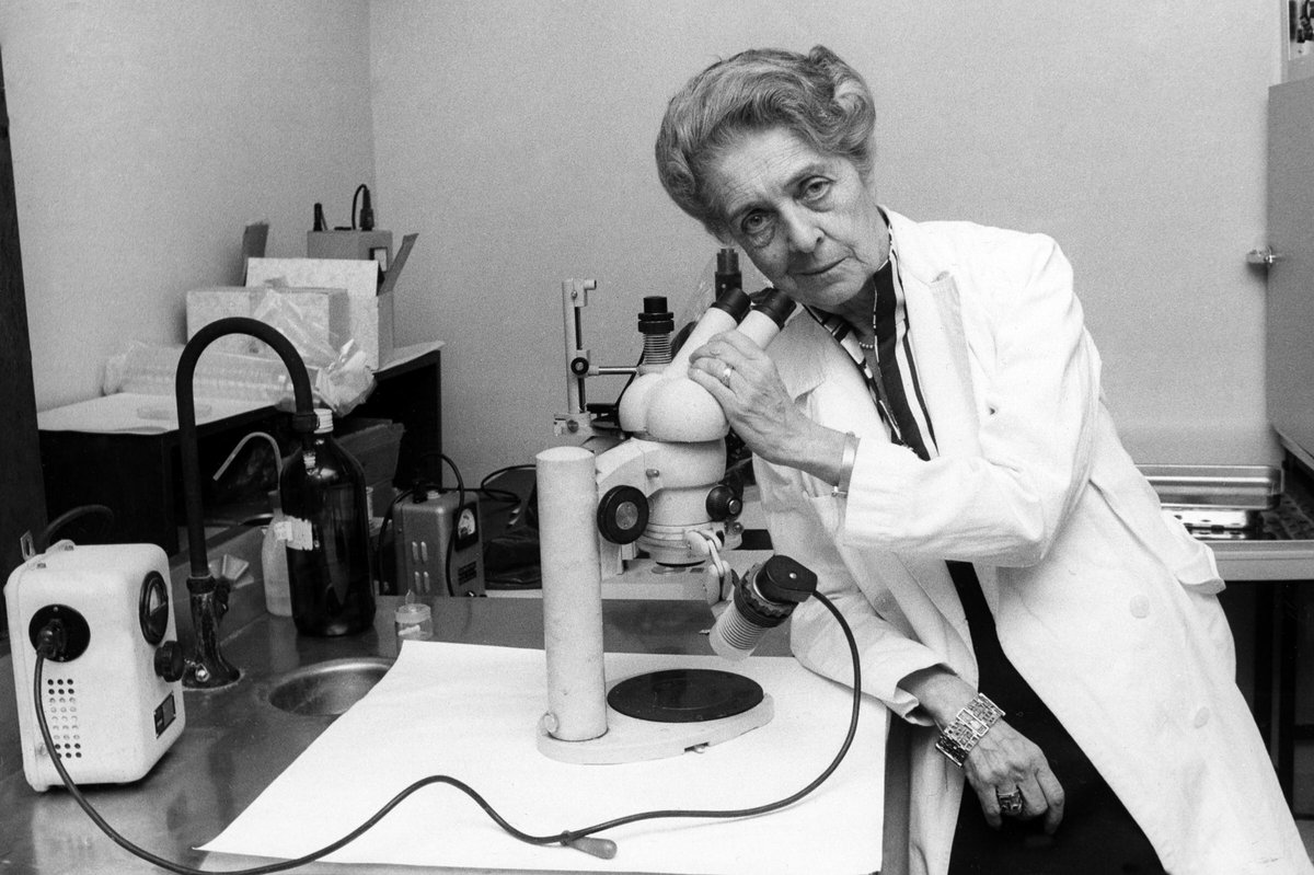 LearninMedicine's tweet photo. It's not #WomensHistoryMonth without Rita Levi Montalcini: Nobel prize winning neurologist groundbreaking reasearch on neuron growth factor https://t.co/v0FKcnvD4w