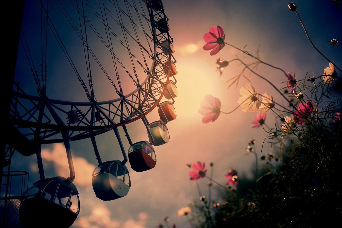osamarb's tweet photo. Everything will end,even dreams and hard days.
#DrOsamaRabie

Ferris wheel https://t.co/2YktFgpkAR
