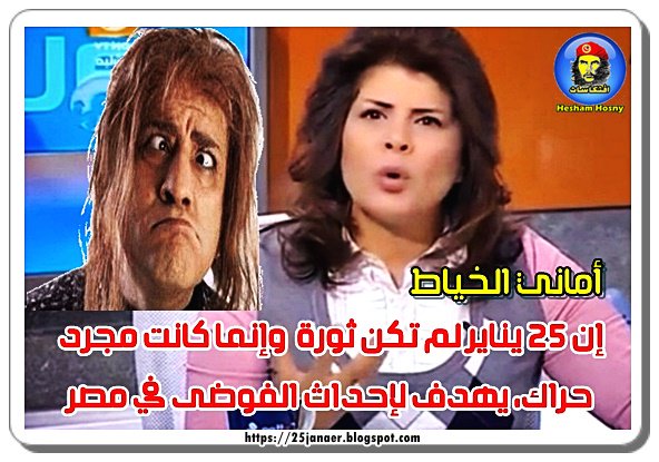 أماني الخياط: إن 25 يناير لم تكن ثورة وإنما كانت مجرد حراك، يهدف لإحداث الفوضى في مصر