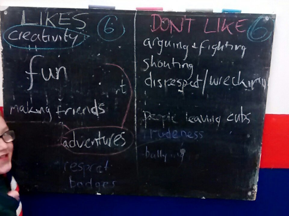 Busy working out our code of conduct for cubs