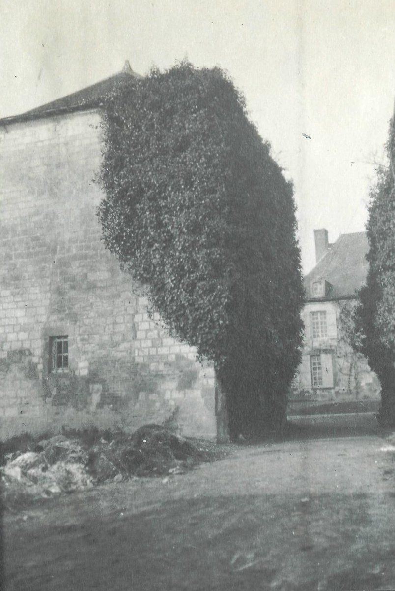 Первая Мировая война в фотографиях.
