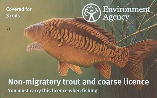 AnglingTrust's tweet photo. New rod licences on sale from today. Free for juniors, 1 licence for 3 rods and full 12 months from day bought. https://t.co/IDqXVHR7SQ https://t.co/JBYPDN0Smt