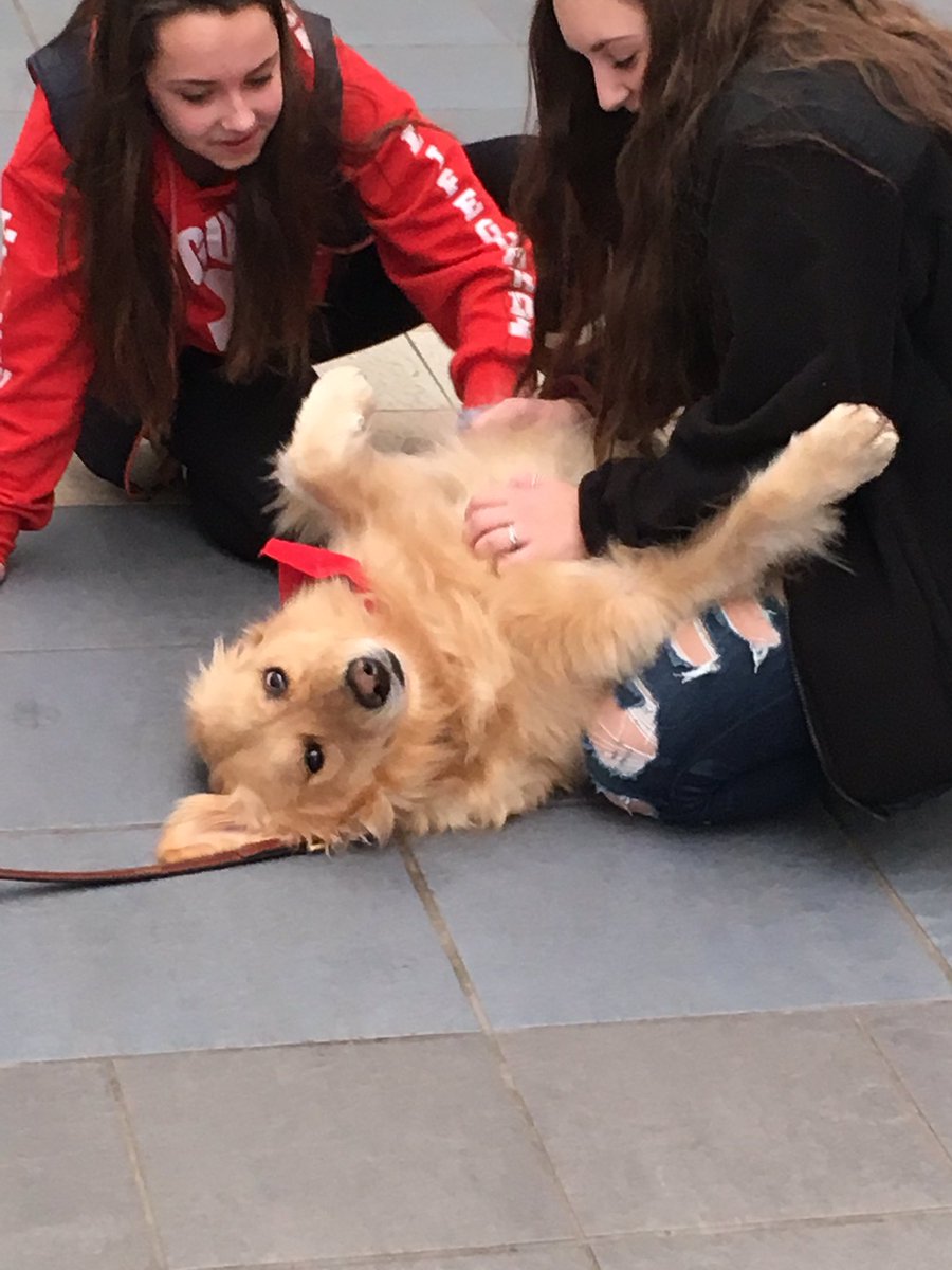 Kstcoeur's tweet photo. Tucker, Haven, and Piper were such a student support today! #OneCommunity https://t.co/LRvN7CHeKf