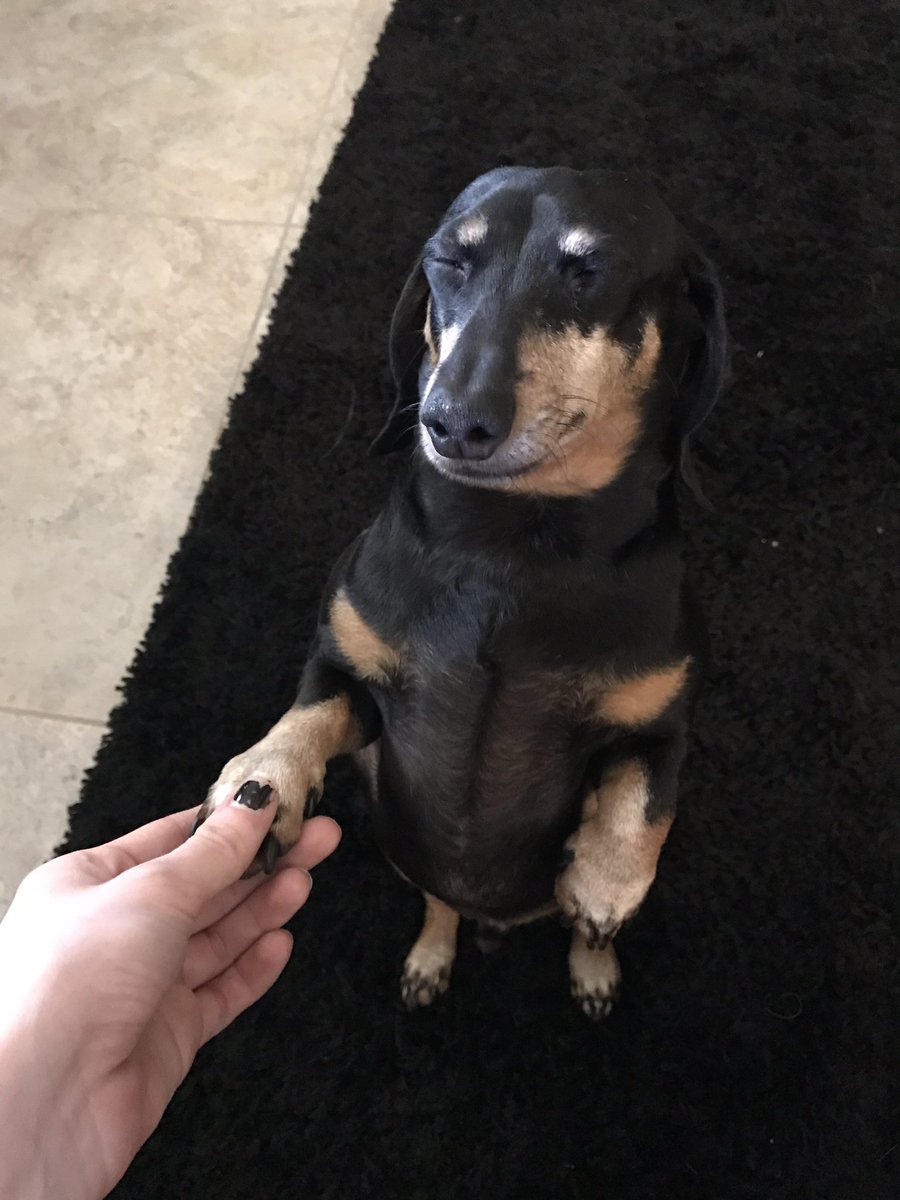 cuntneydick's tweet photo. I love my precious mr handsome man https://t.co/nuySKrcKQx