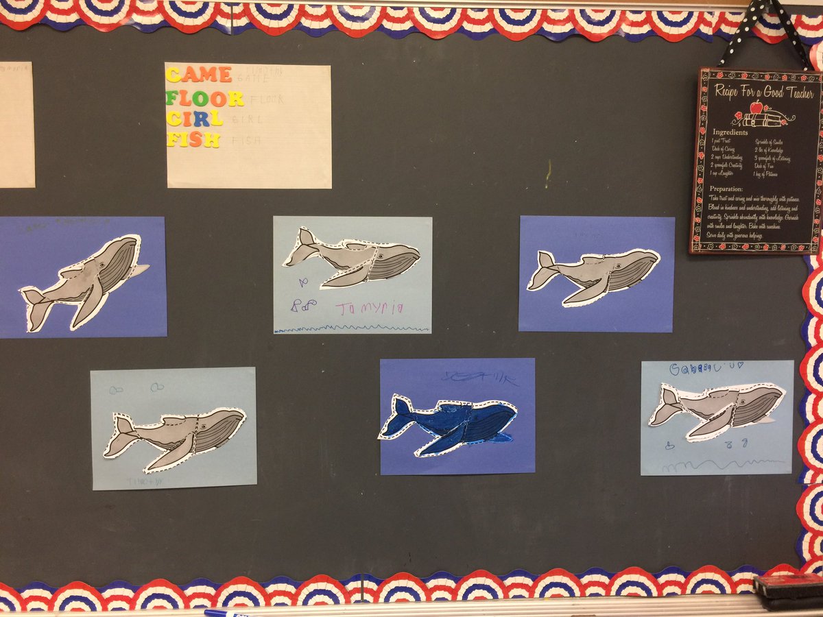 CarlaAdams61210's tweet photo. Reading about the Whale Count this week! We learned the parts of a humpback whale! @n2yinc @LHSintheNews #LHSSpEd #WhaleCount #n2ynation https://t.co/Z0EX5diczr