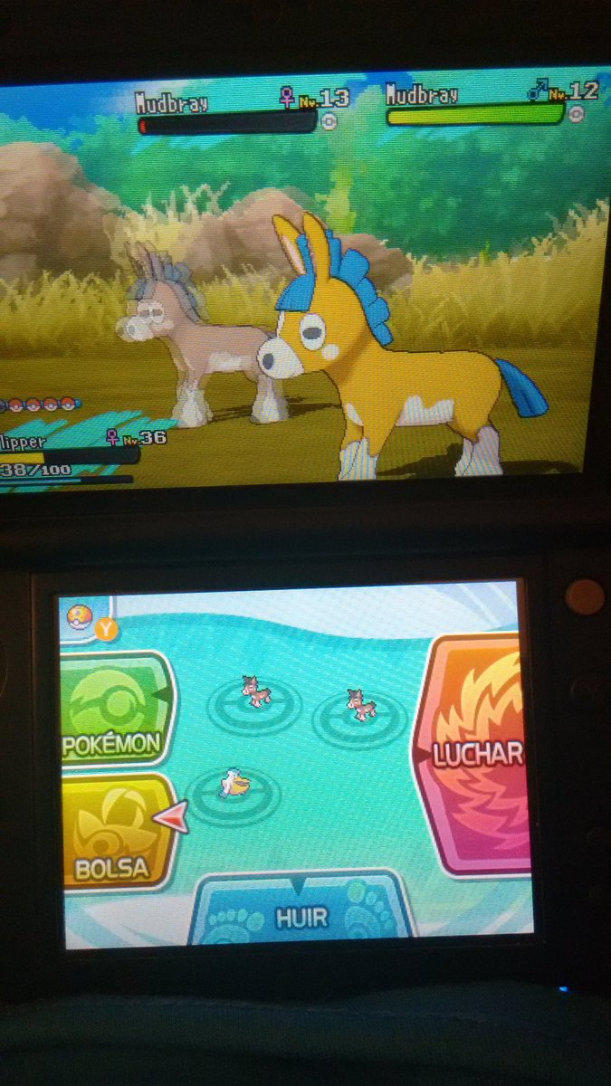 lameluss's tweet photo. Finally after 303 SOS shiny mudbray 😊 @Casual_XO https://t.co/F8Fd9miCW2