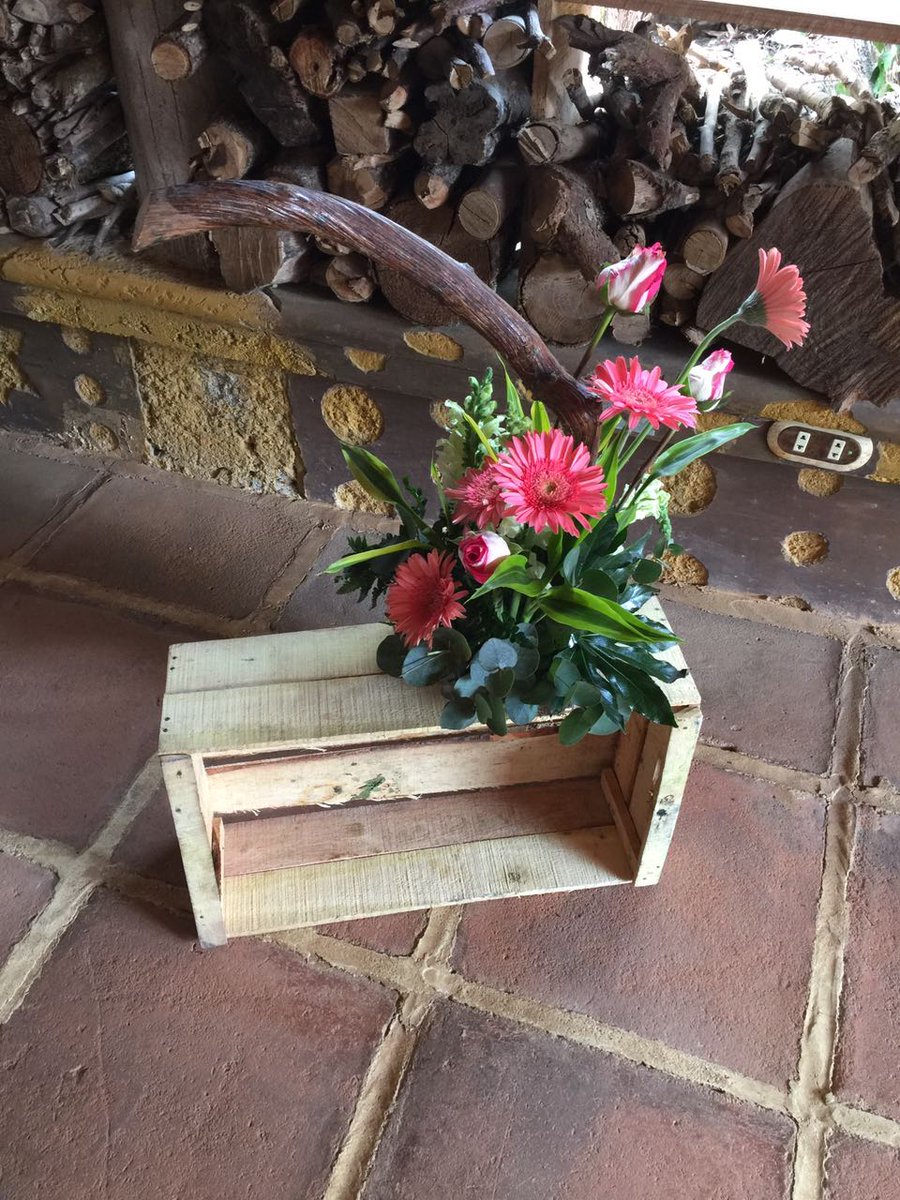 IPetalo's tweet photo. En floristería I Pétalo tenemos los mejores arreglos para decorar el evento que desees.

Contactanos al 54493060 y concertemos una cita. https://t.co/Tle0XzA5wr